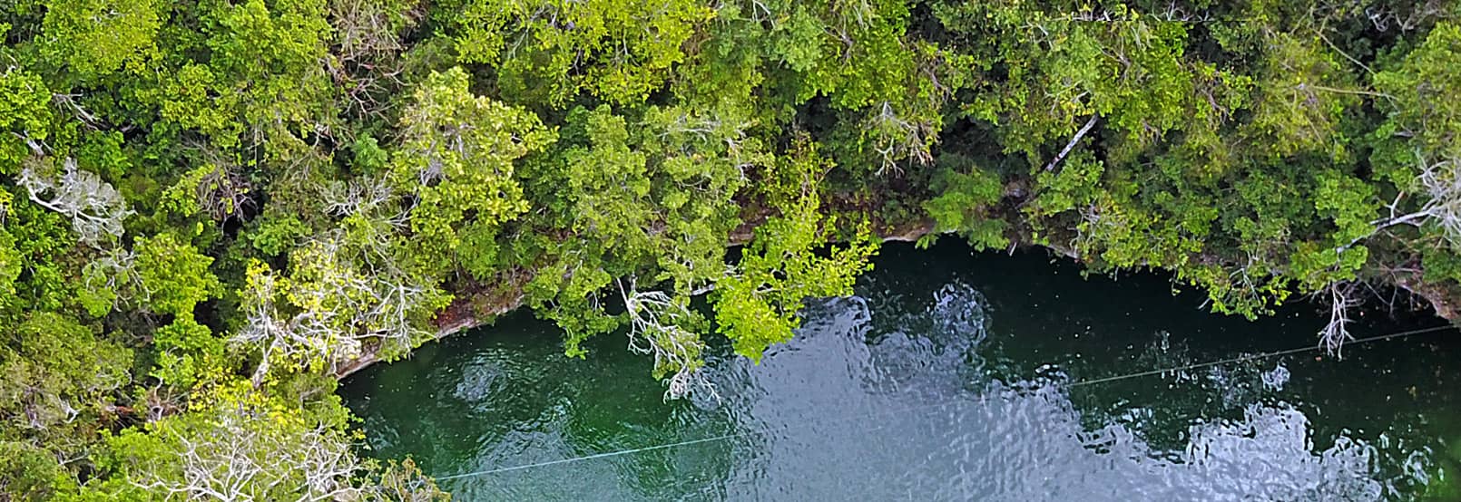 RUTA DE LOS CENOTES EN PUERTO MORELOS